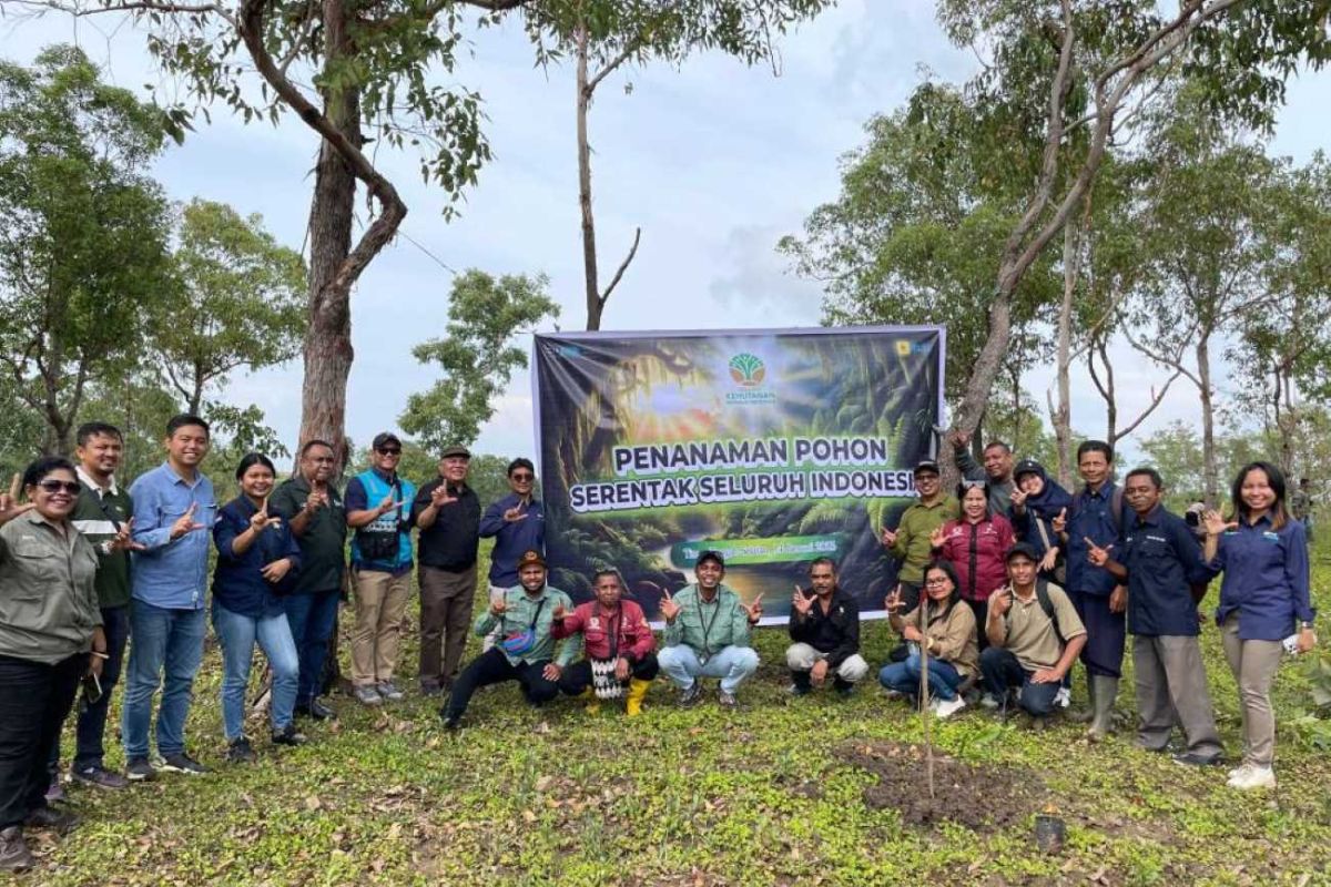 UPTD KPH Wilayah Kabupaten Timor Tengah Selatan